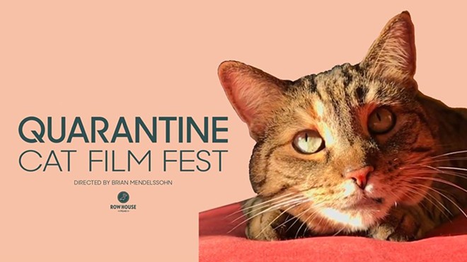 Quarantine Cat Film Fest, Which is Exactly What it Sounds Like, to Screen Virtually at Cleveland Cinemas