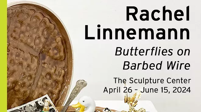 Image: Rachel Linnemann: "Butterflies on Barbed Wire"