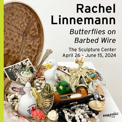 Rachel Linnemann: "Butterflies on Barbed Wire"