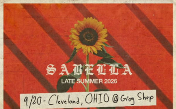 Image: Sabella