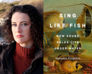 Author Amorina Kingdon