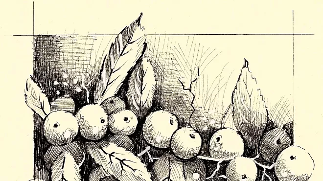 Image: Sensational Saturdays: Introduction to Pen & Ink