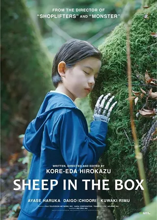 Image: Sheep in the Box