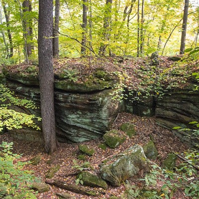 Chapin Forest Reservation/Arbor Lane Loop Trail (30 minute drive from Downtown Cleveland)  