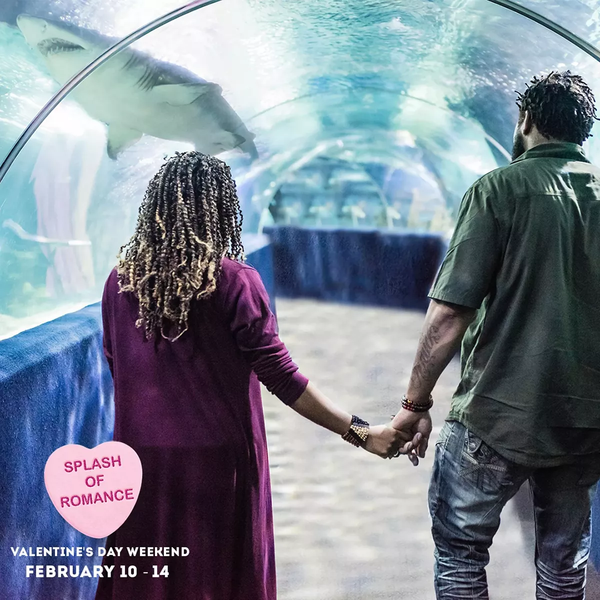 Splash of Romance at Greater Cleveland Aquarium
