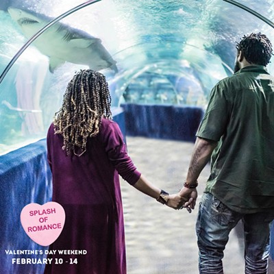 Splash of Romance at Greater Cleveland Aquarium