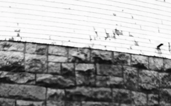 Image: Stephen Wilson Jr.