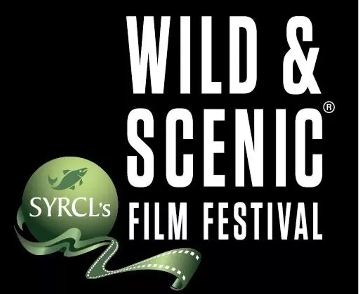 film_fest.webp