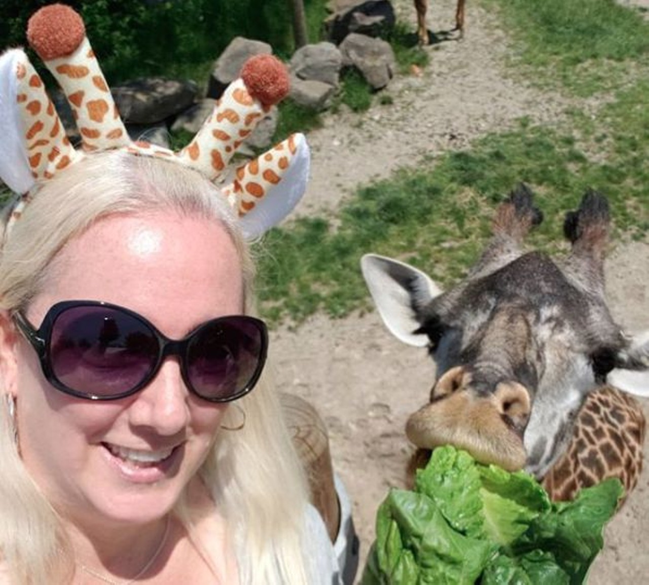  Cleveland Metroparks Zoo
3900 Wildlife Way
With 183 acres of wildlife, fauna and demonstrations to see, the zoo is the best place to take a selfie with a giraffe (and other extraordinary animals). The zoo is open every day and tickets are $14.95 for adults. 
Photo via thegirlsny/Instagram