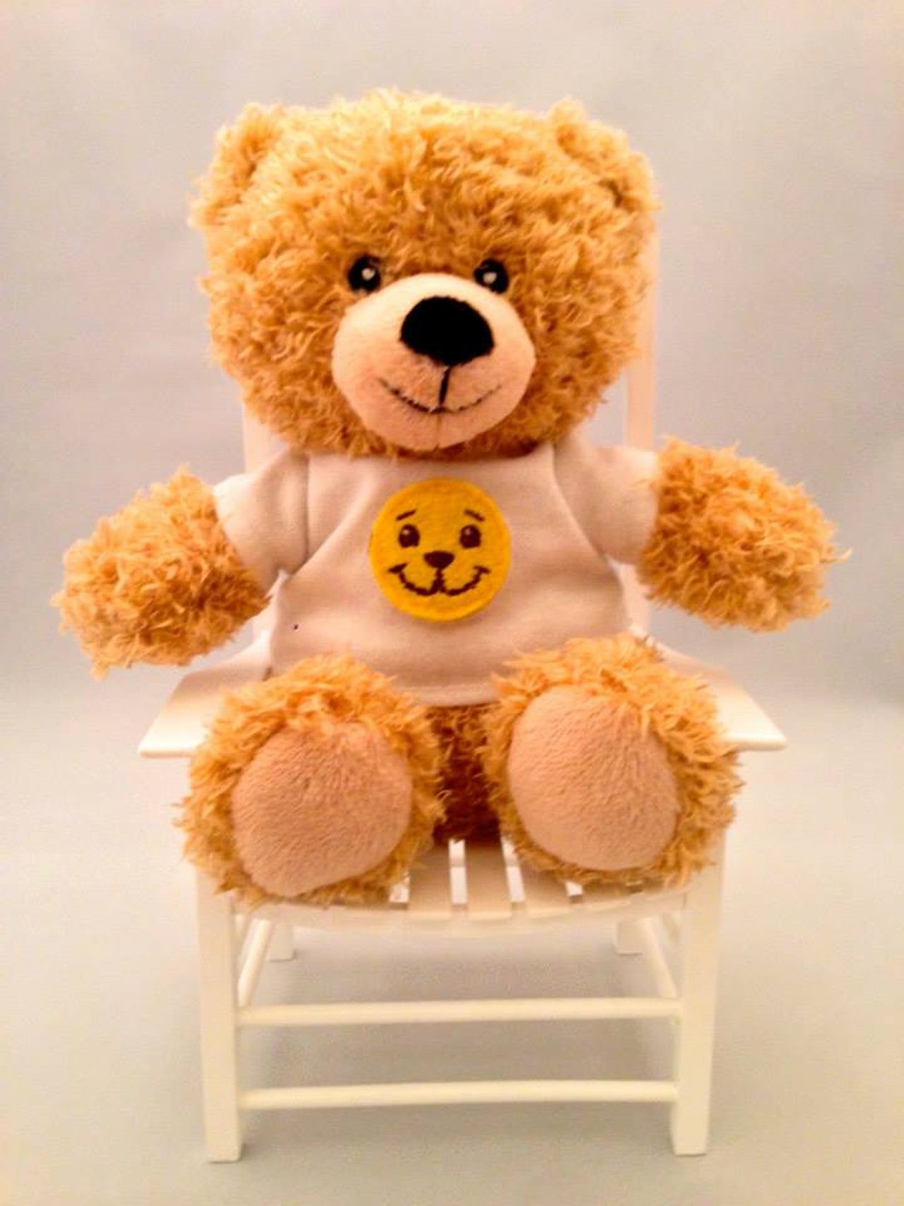 The Bear on the Chair is a toy designed to teach kids proper behavior. It's pretty simple, with a smiley face or frowny face that attaches to the bear's shirt to show the children when they're being good or bad.
