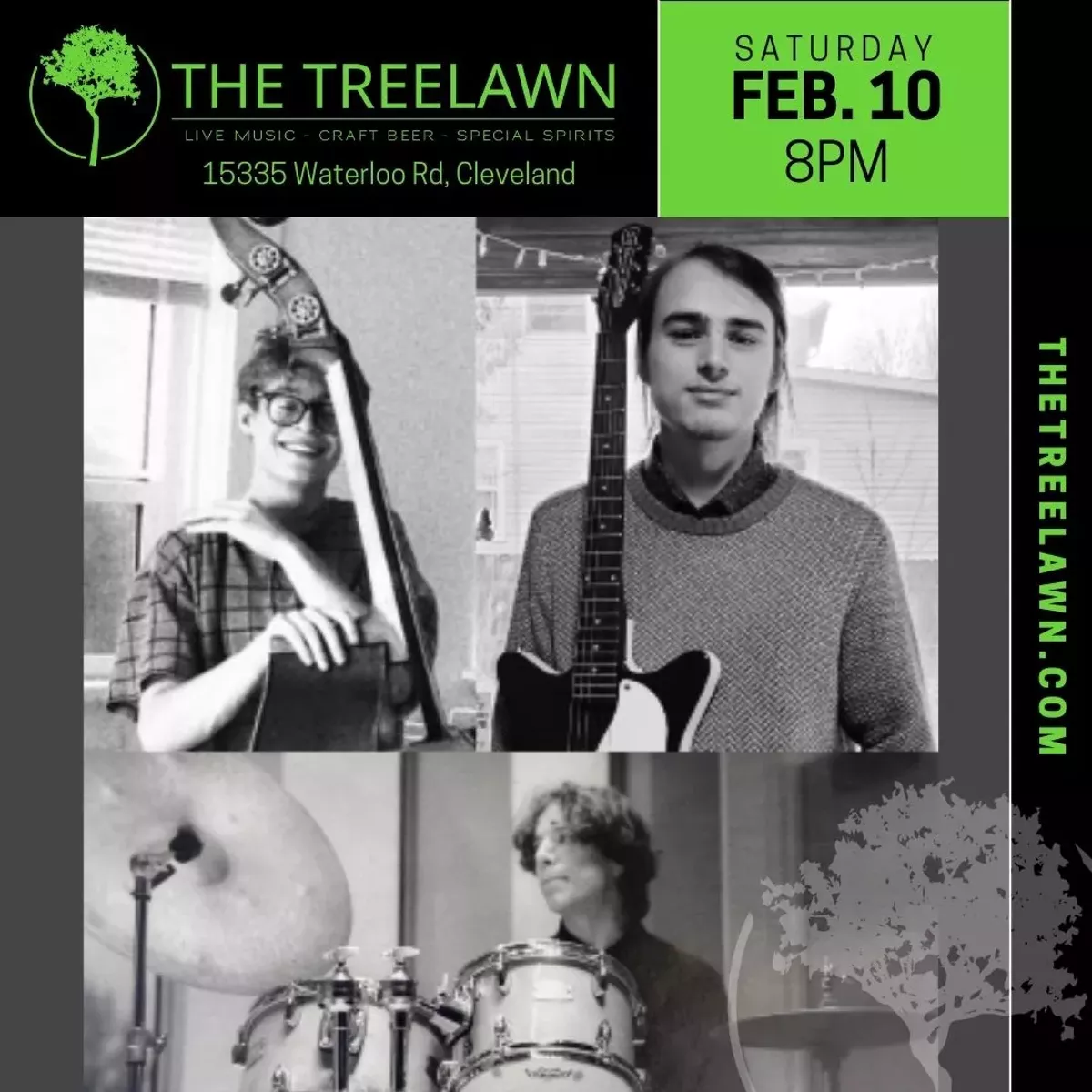treelawn_ig_posts__19_.webp