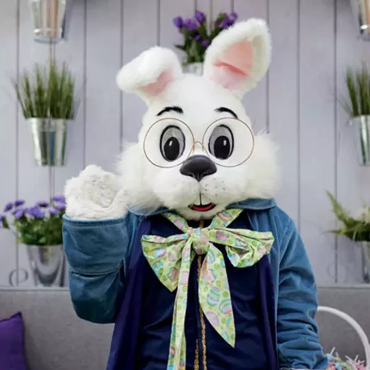 Photos with the Bunny