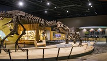 Free Sundays at Cleveland Museum of Natural History Begin This Week