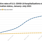 These Charts Show That COVID-19 Vaccines Are Doing Their Job