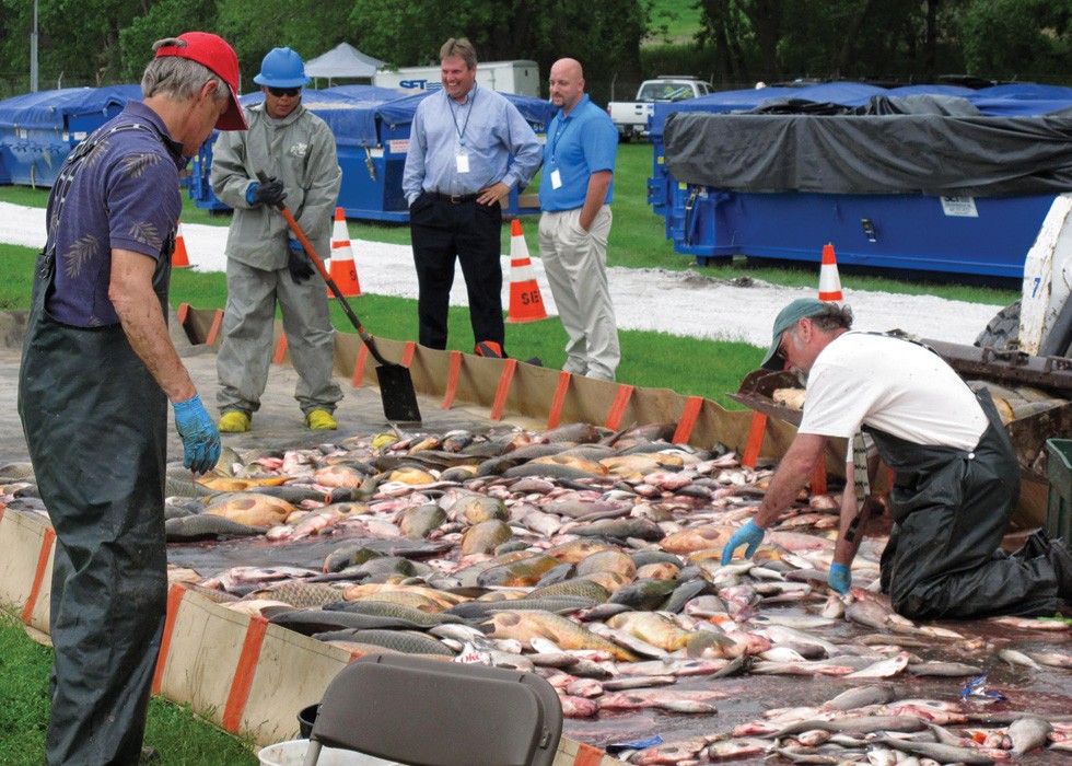 Fish-sorting and disposal operations after rotenone poisoning in May, 2010. - Photo by Lt. David French./U.S. Coast Guard