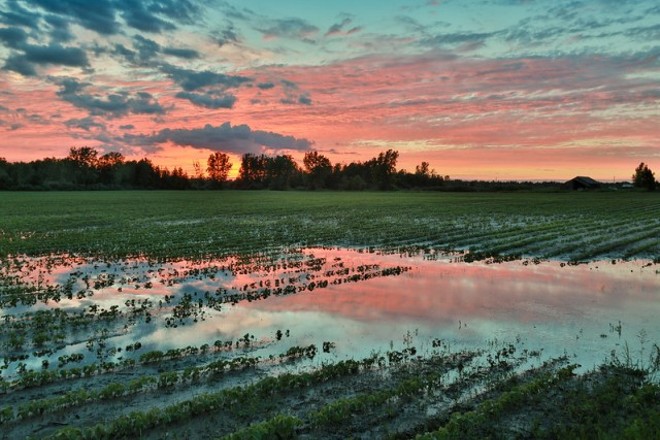 Report: Ohio Farmers Can Help Solve Climate Crisis