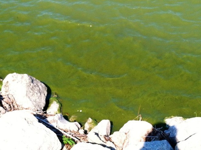 Lake Erie 'Dead Zones' are Impacting Northeast Ohio Drinking Water Every Summer (2)