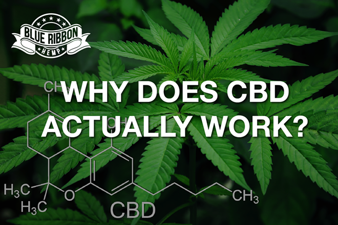 Why Does CBD Work?