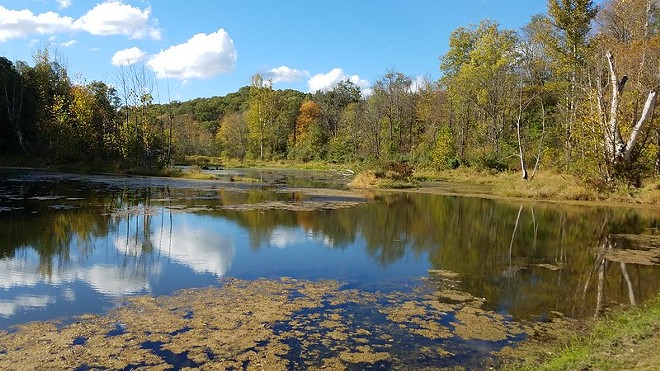 Ohioans Encouraged to Take 'Speak Up for Nature' Pledge
