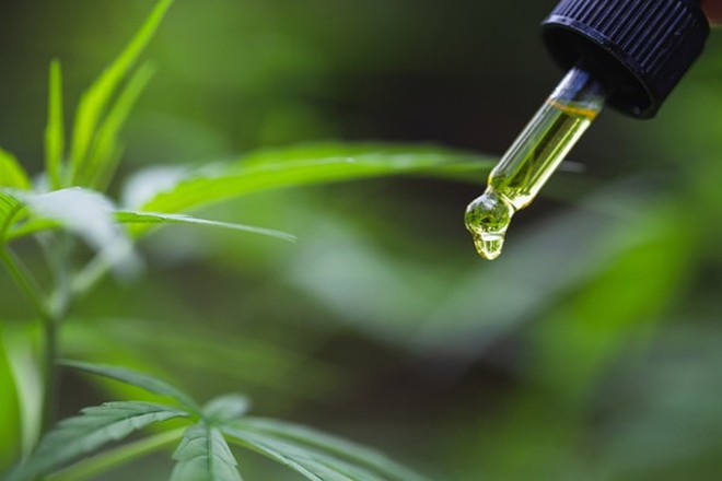CBD could help prevent infection, a study suggests - Shutterstock