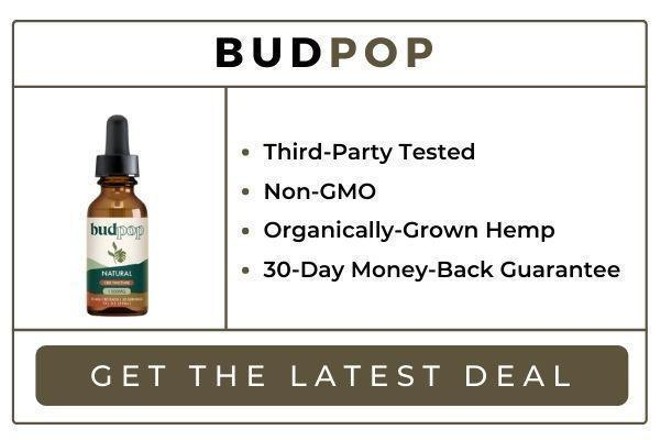 Best CBD Oils For Anxiety, Depression & Stress In 2022: Top CBD Oils & Tinctures To Buy