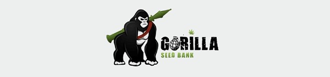 How to Pick the Right Seed Bank for Autoflower Seeds in 2022