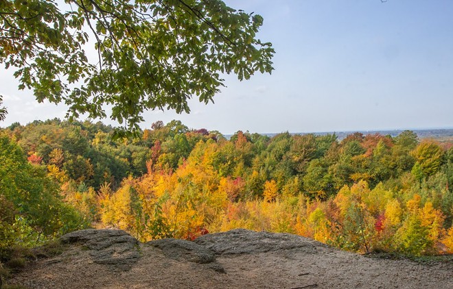 You've Got About a Week Left to Catch Peak Fall Foliage Colors in Cleveland