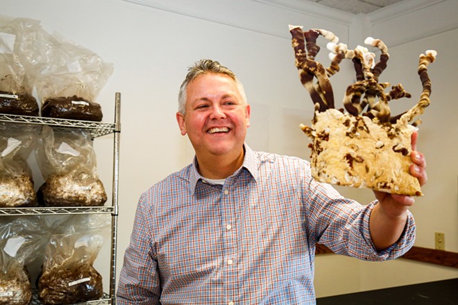 Erik Vaughan, 46, founded Epiphany Mushroom on S. Main St. in Akron in part influenced by a belief that psychoactive mushrooms have big promise for mental health issues. - Mark Oprea