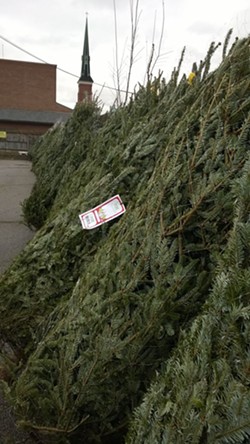 Petitti's Garden Center Spreads Holiday Cheer, Donates 60 Trees to West Side Catholic Center