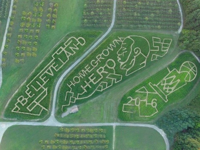 Walk Through This Cavs-Inspired Corn Maze at Mapleside Farms in Two Weeks