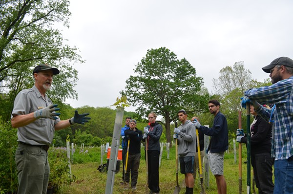 Plant ecologist Chris Davis walks volunteers through the ins and outs of tree-planting. - ERIC SANDY / SCENE