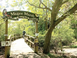 The boardwalk at Magee Marsh has a mecca-ish quality in spring. - PHOTO BY ERIC SANDY