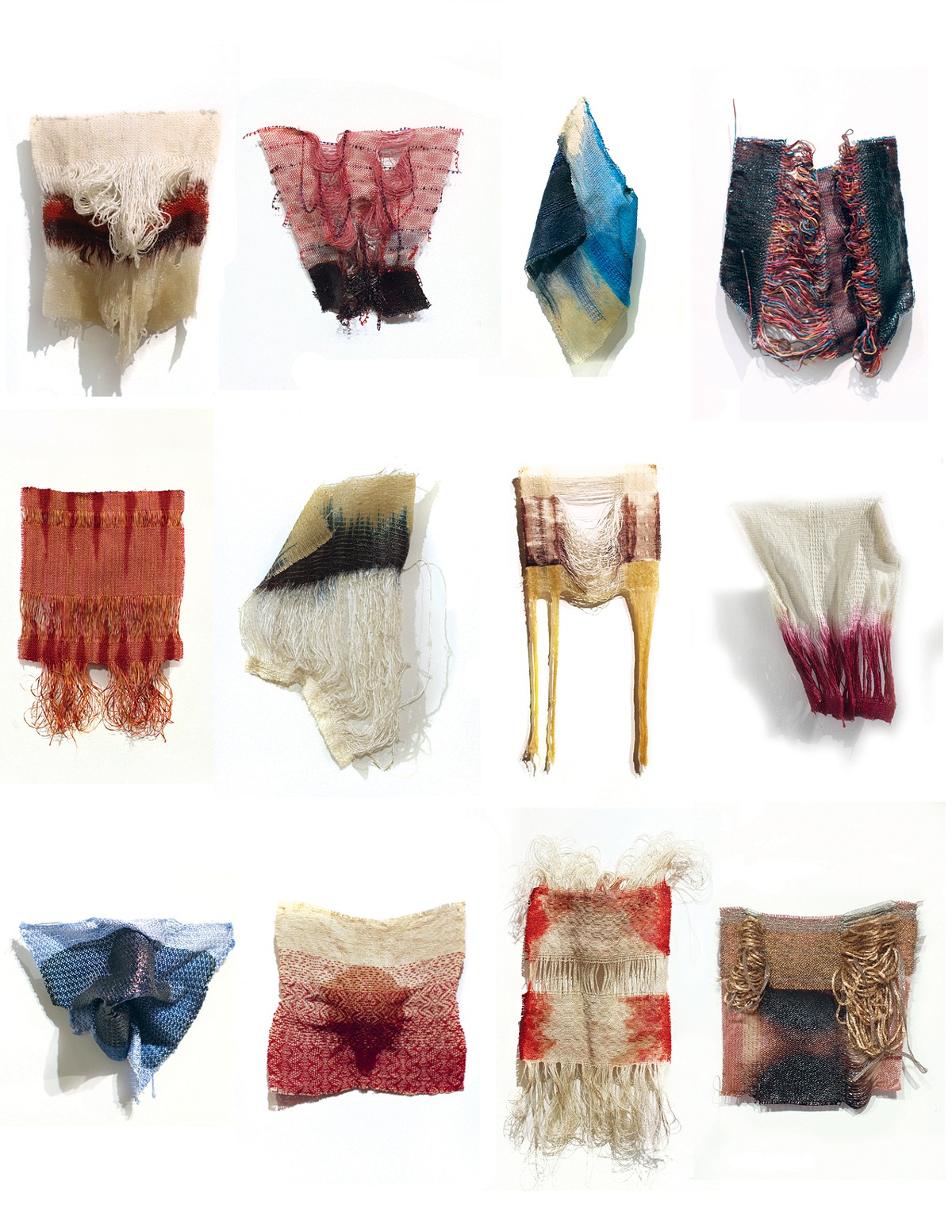 A small portion of Dissection, a new body of work by Jessica Pinsky.