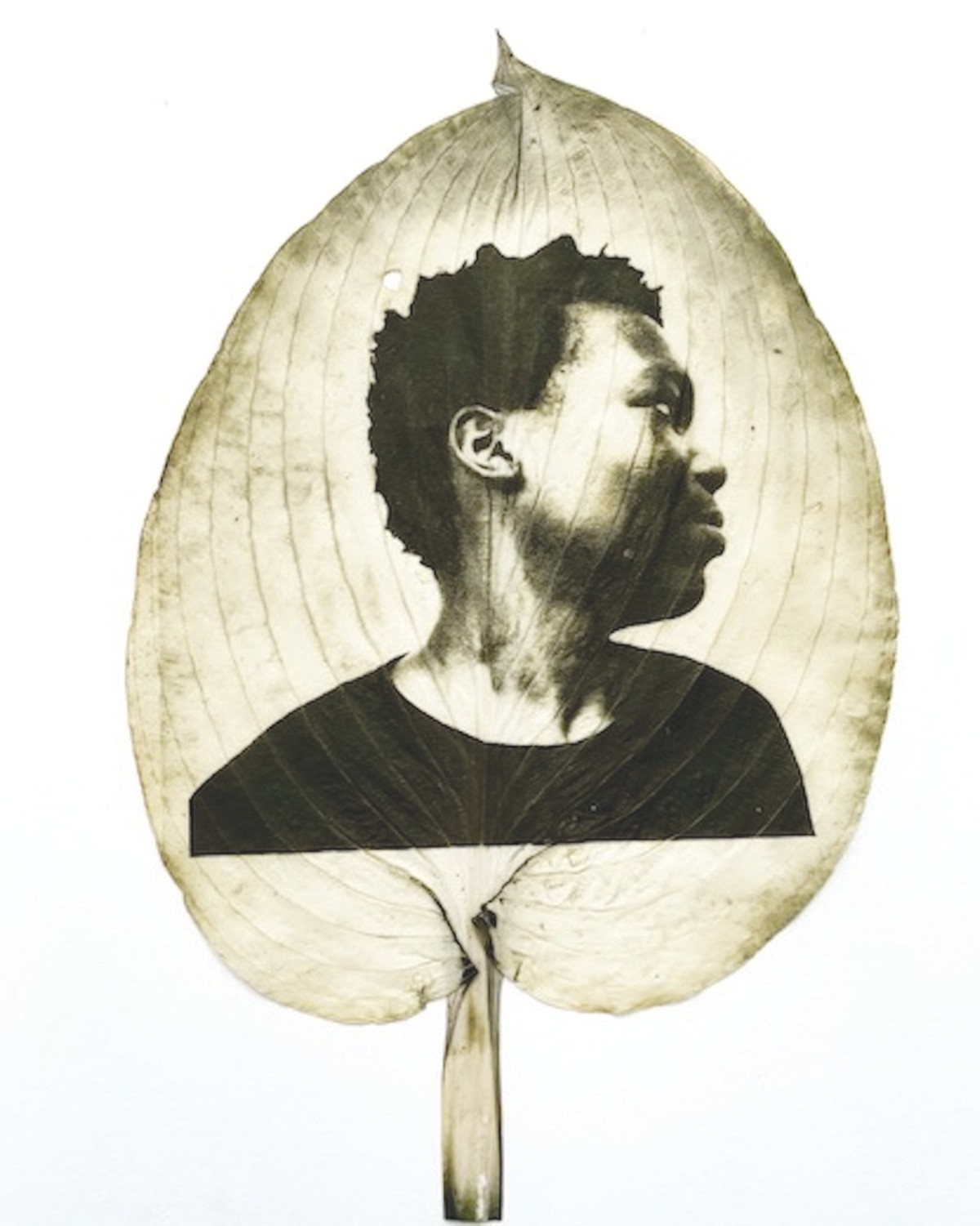 Cleveland's Samantha Bias Creates Powerful Portraits Directly on Leaves