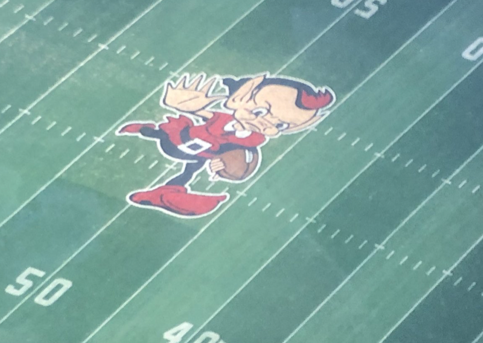 Why the Cleveland Browns have an elf at midfield! The brief history #s