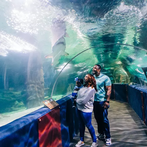 Christmas Eve @CLEAquarium - Vimarsana News
