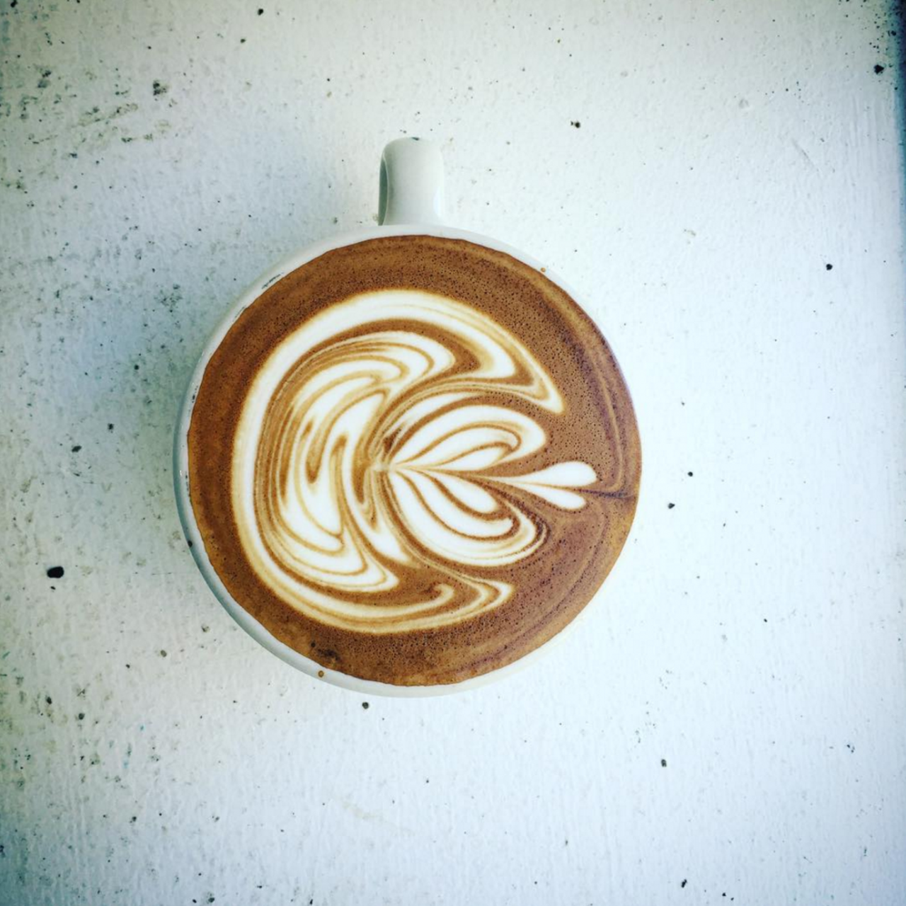 Phoenix Coffee Company
With four locations, Phoenix Coffee Co. has been caffeinating Clevelanders for over two decades -- and now their Instagram is also satisfying our desire for aesthetically pleasing latte art. (Photo via @phoenixcoffeeco)