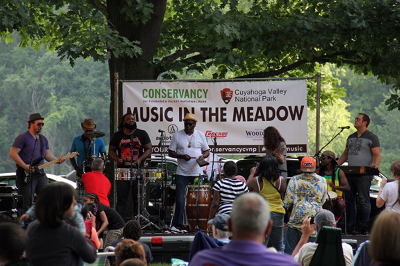 Reggae vibes at Music in the Meadows, photo by Caitlin Summers