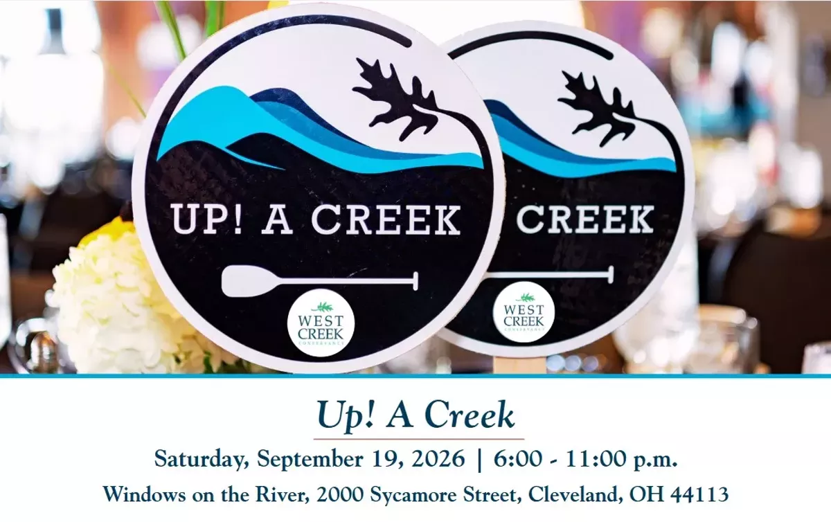 up__a_creek.webp