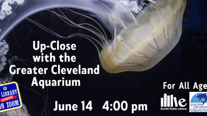 Up-Close with the Greater Cleveland Aquarium