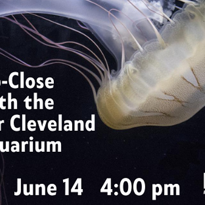 Watch a video presentation by the Greater Cleveland Aquarium.