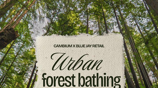 Image: Urban Forest Bathing
