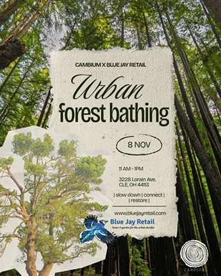 urban forest bathing flyer