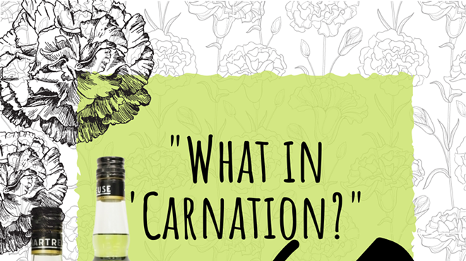 Image: What in 'carnation?