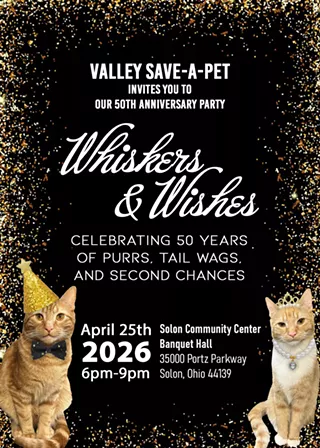 VSAP's 50th Anniversary Fundraiser