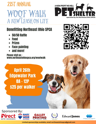 Dog Walk Fundraiser